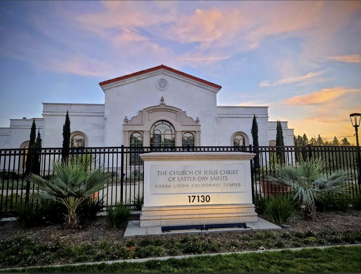 Seth🇺🇸 tweet media