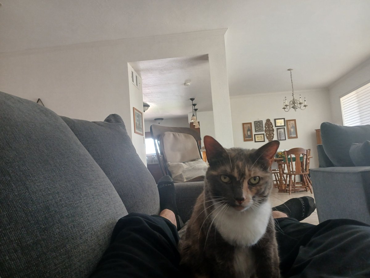 casey batts tweet media