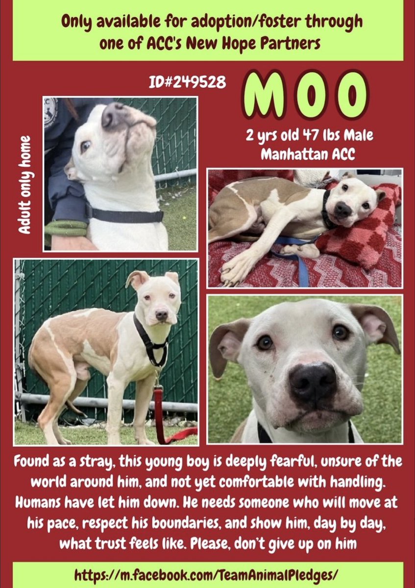 Tootsismyname🏴‍☠️ tweet media