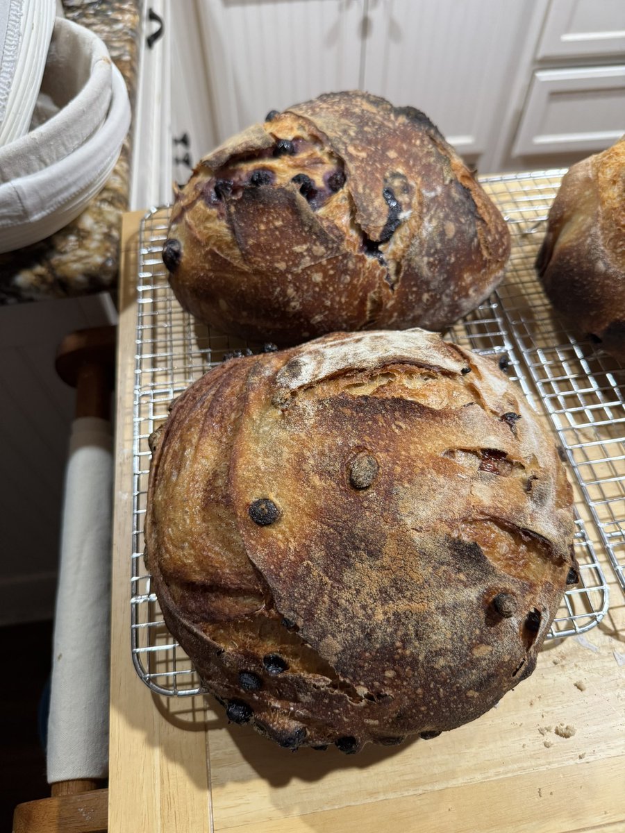 Patti with an 👁️ tweet media