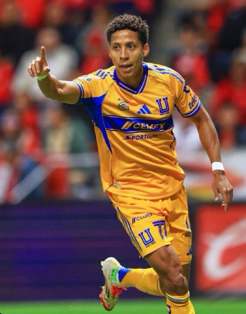 Xavier Sol la Lande tweet media