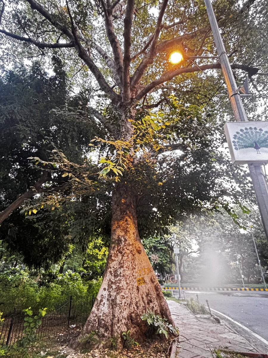 Mohan Pargaien IFS🇮🇳 tweet media