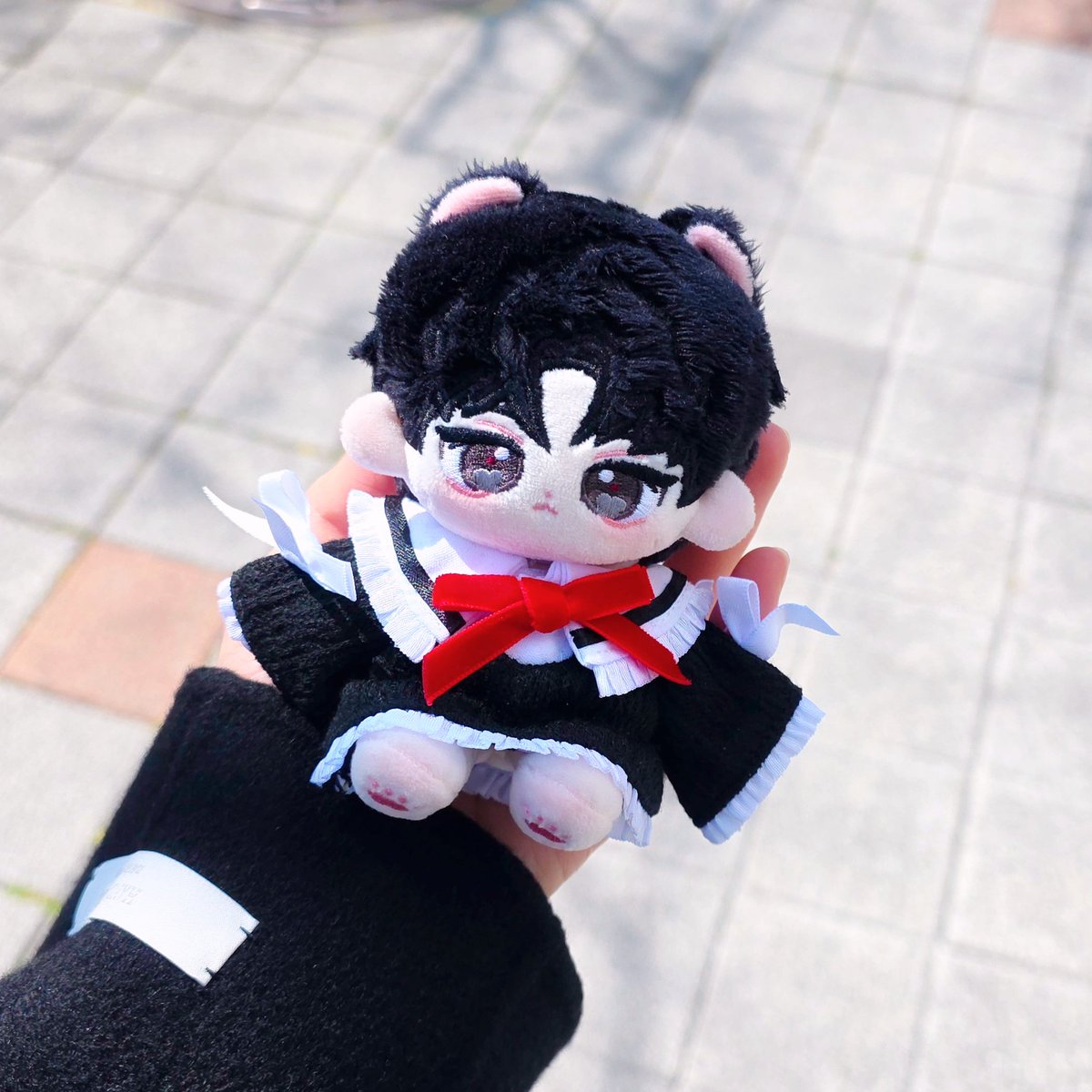 Roah_som's tweet photo. 오늘 외출메이트♡

#로아네_솜둥이들
#달밤의_담담솔 #담담솔 https://t.co/gopTAWvzpH