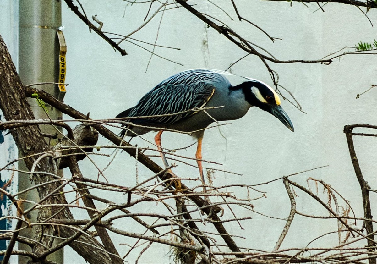 Keith Fletcher tweet media