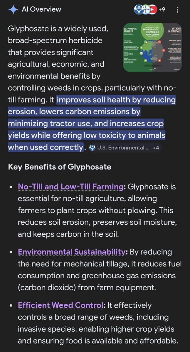 Kevin in Canada tweet media