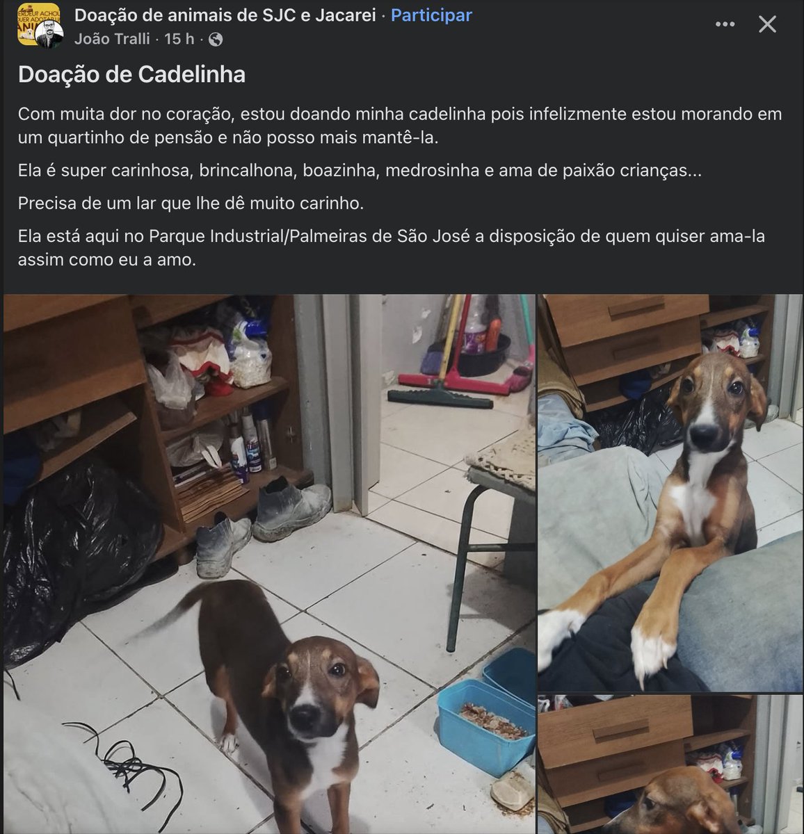 ✪ Felippe tweet media