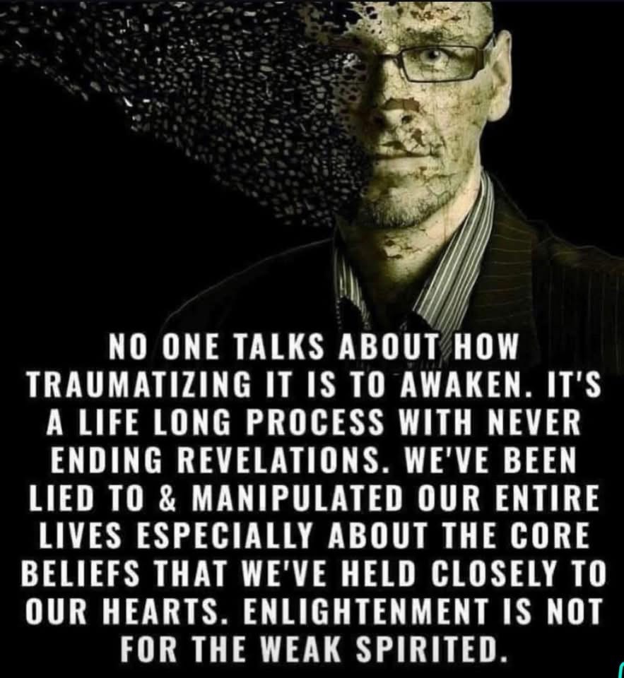 🧬Maxpein🧬 tweet media