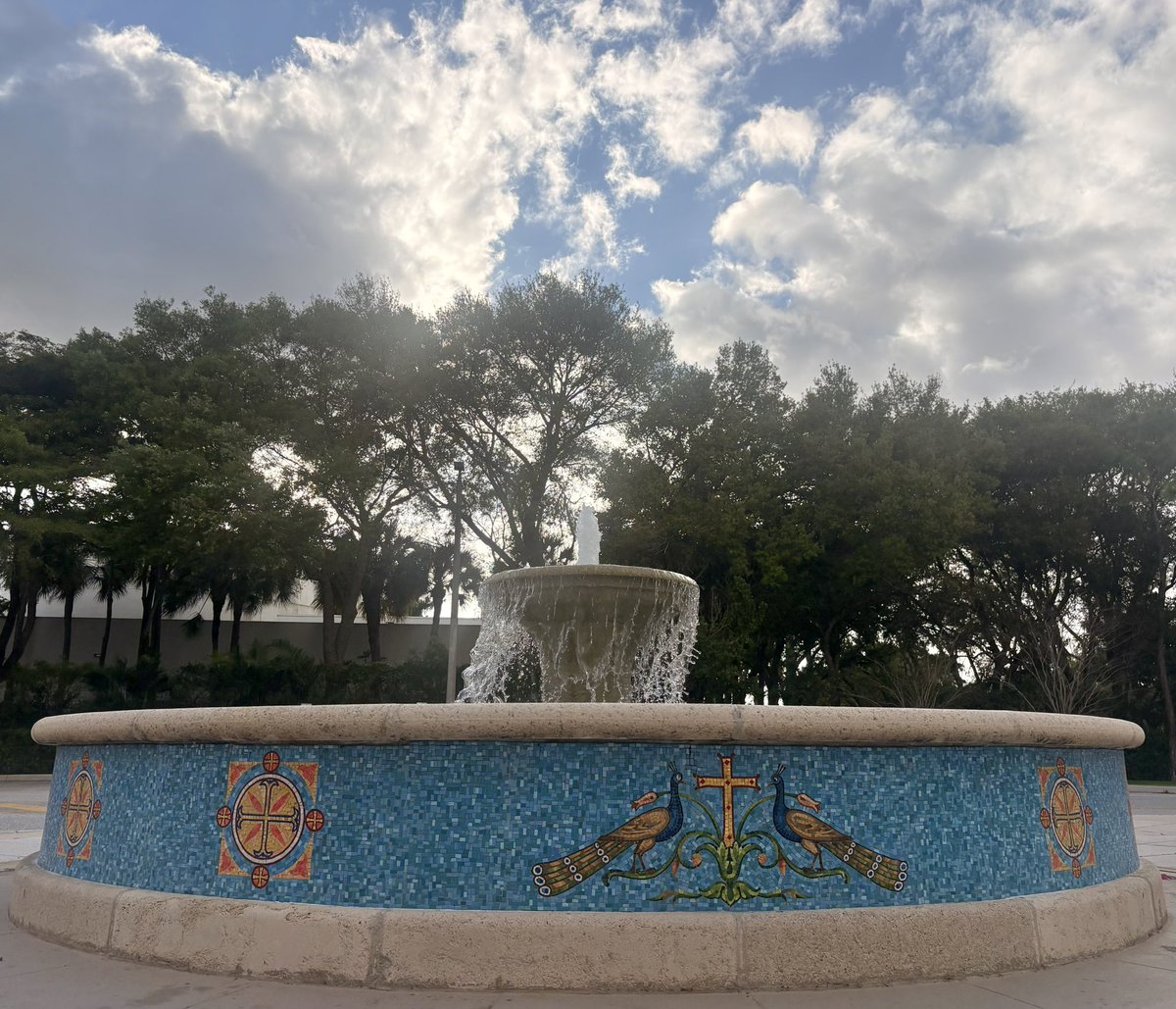 The Tallahassee Patriots 🌲 tweet media