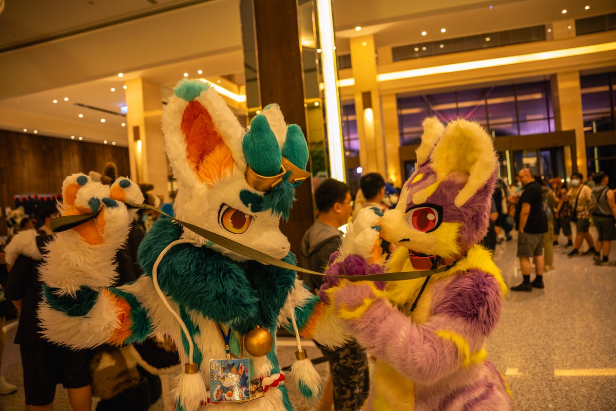 艾可皮恩&泰爾 tweet media