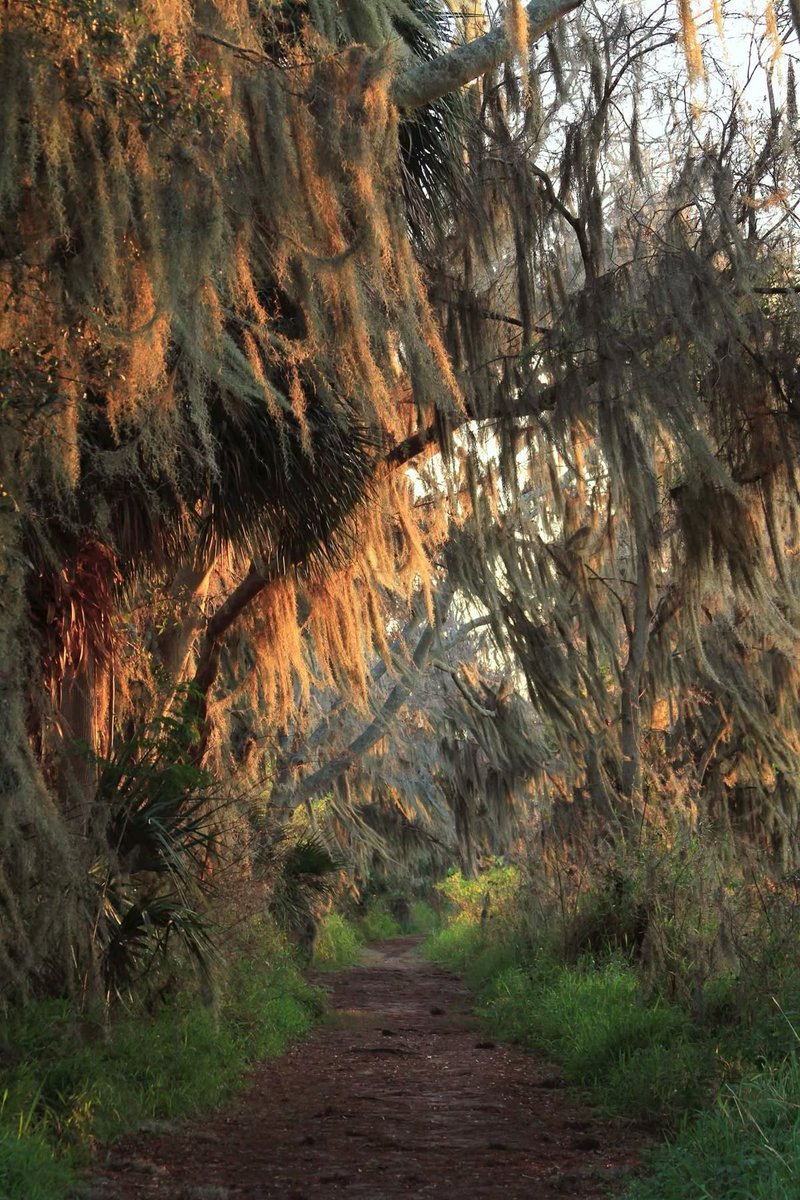 Rilkean Heart tweet media