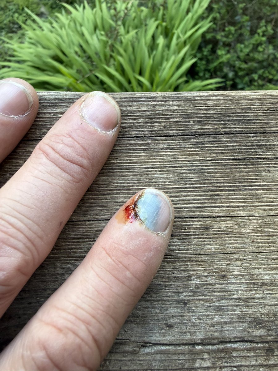 Carl, STFU 🇺🇸 tweet media