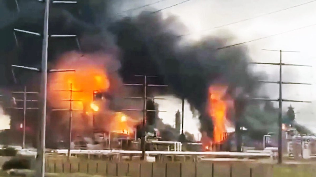 THE ISLANDER tweet media