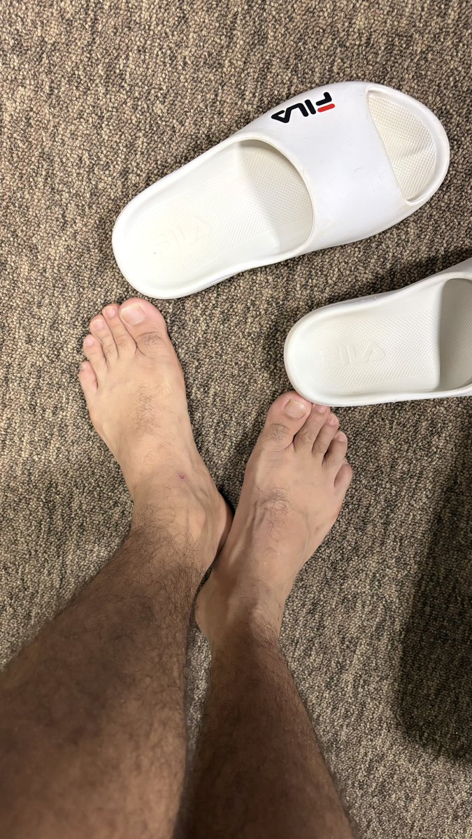 cellus ★ tweet media