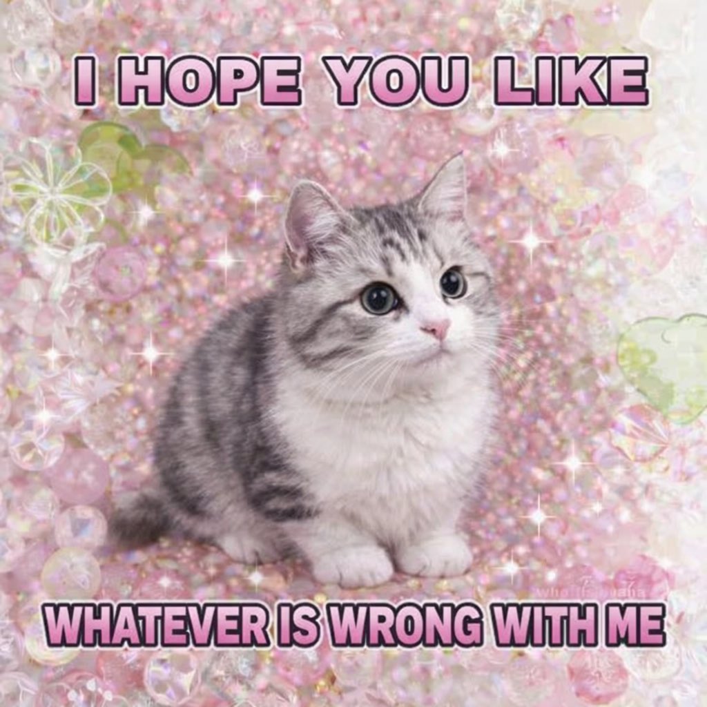 LiterallyMeCats tweet media