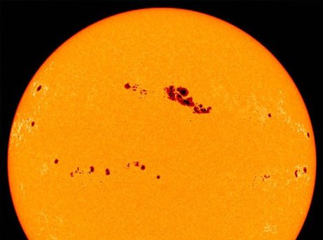 ビースト tweet media