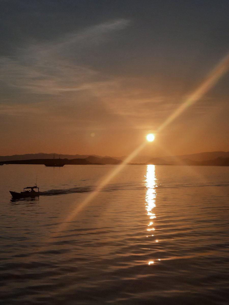 ChoSultan tweet media