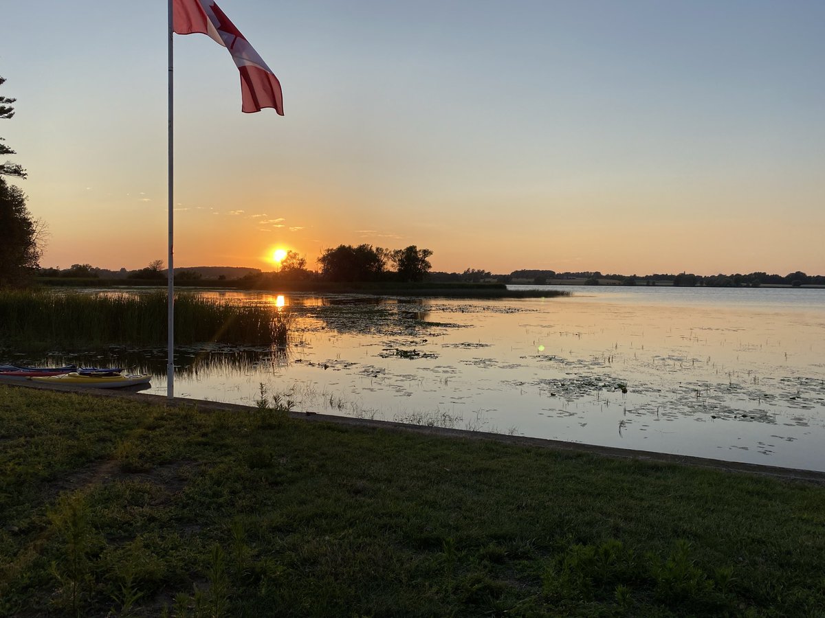 It_All_Feels_Scripted tweet media