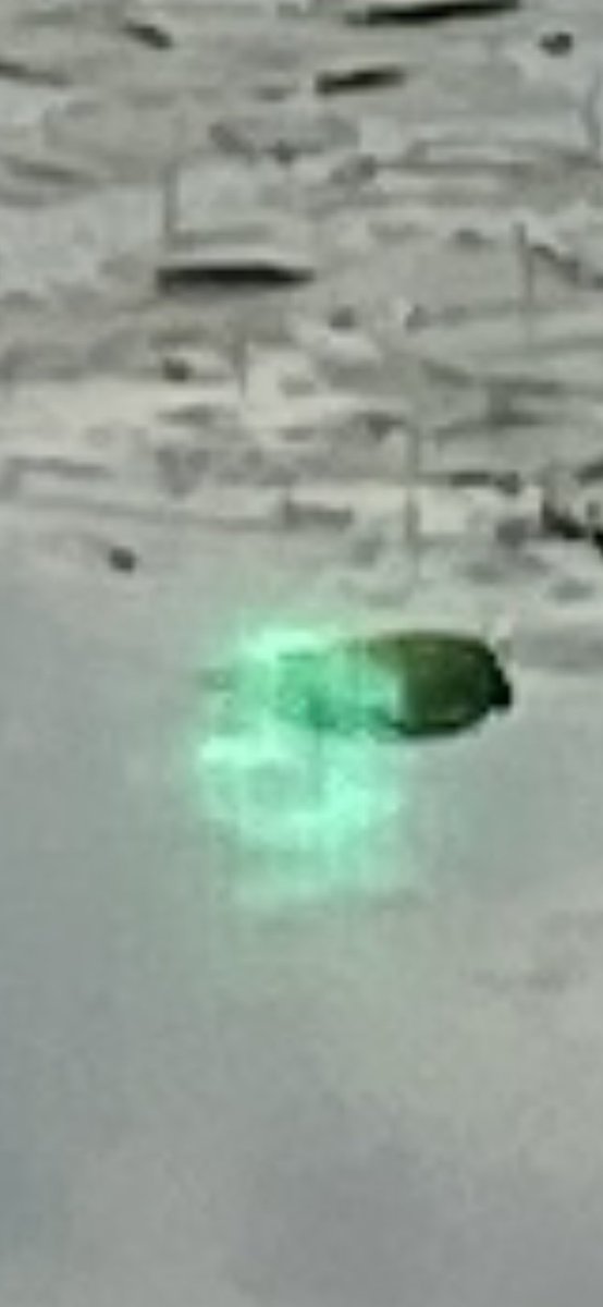 It_All_Feels_Scripted tweet media