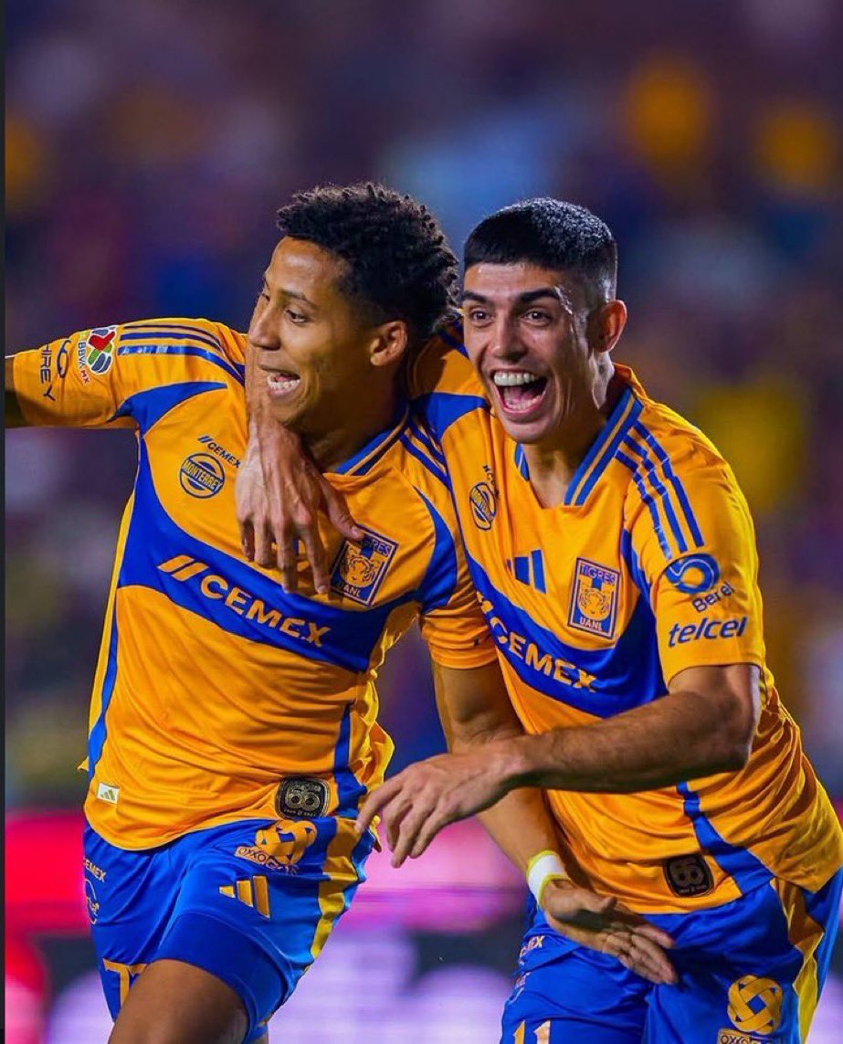 Xavier Sol la Lande tweet media