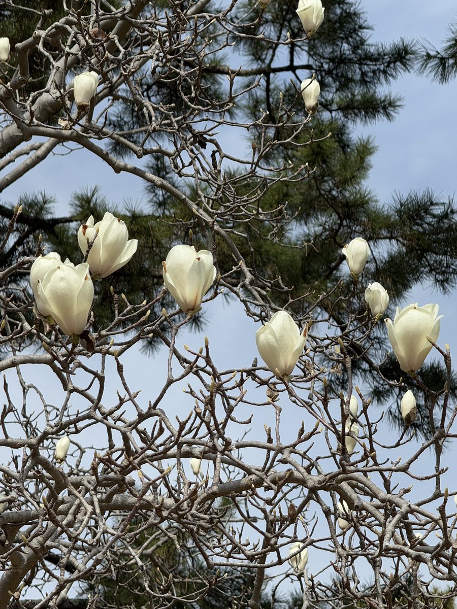 kyotowonderland tweet media