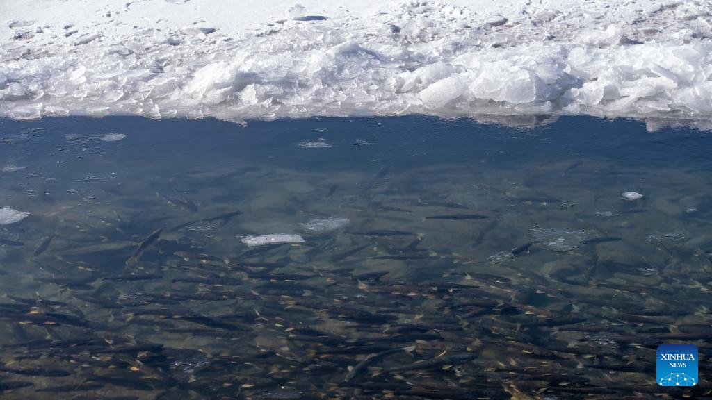 Beautiful China tweet media