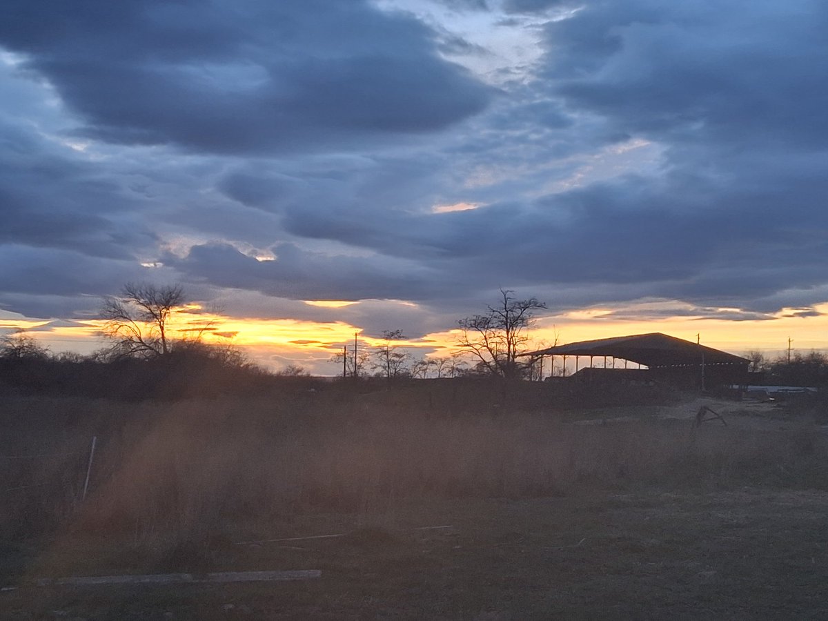 Bovine Thots With Poppin Twats tweet media