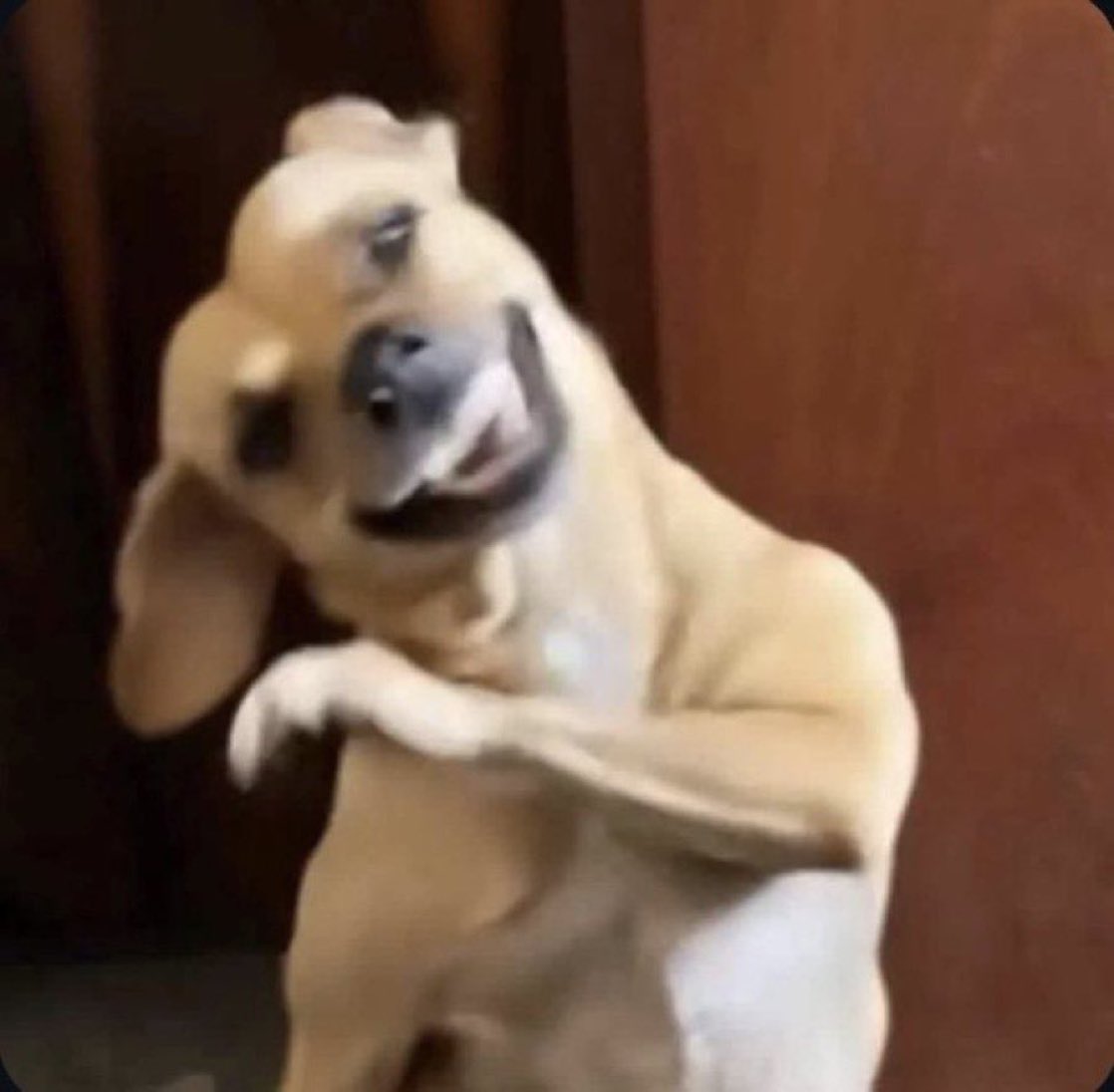 ana paula mais um dia comendo rapadura com casca de parede #BBB26