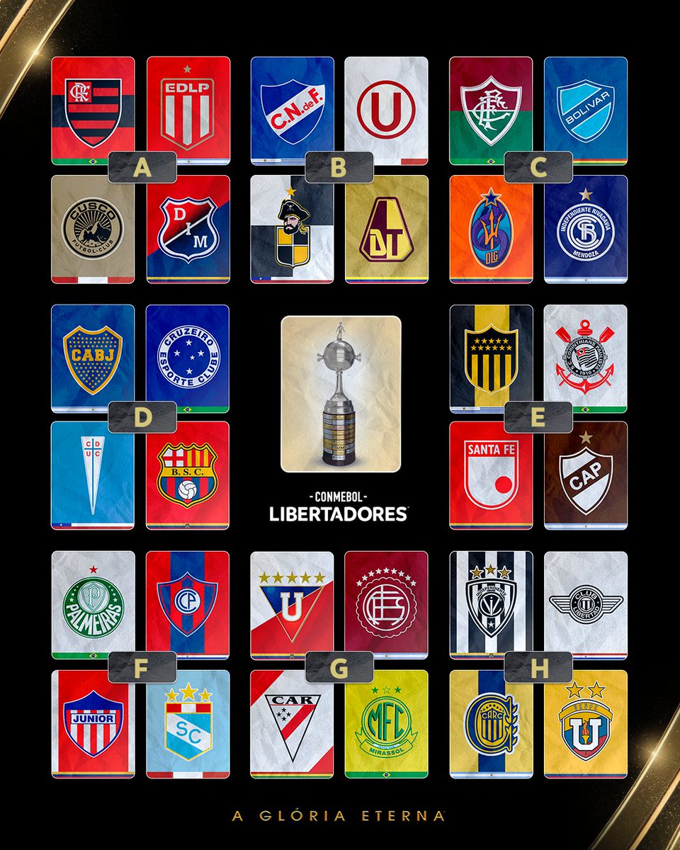 CONMEBOL Libertadores tweet media