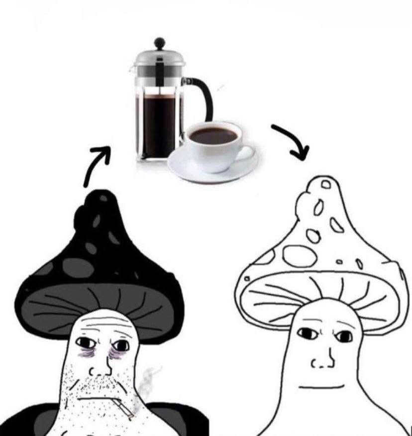 the cumpound tweet media