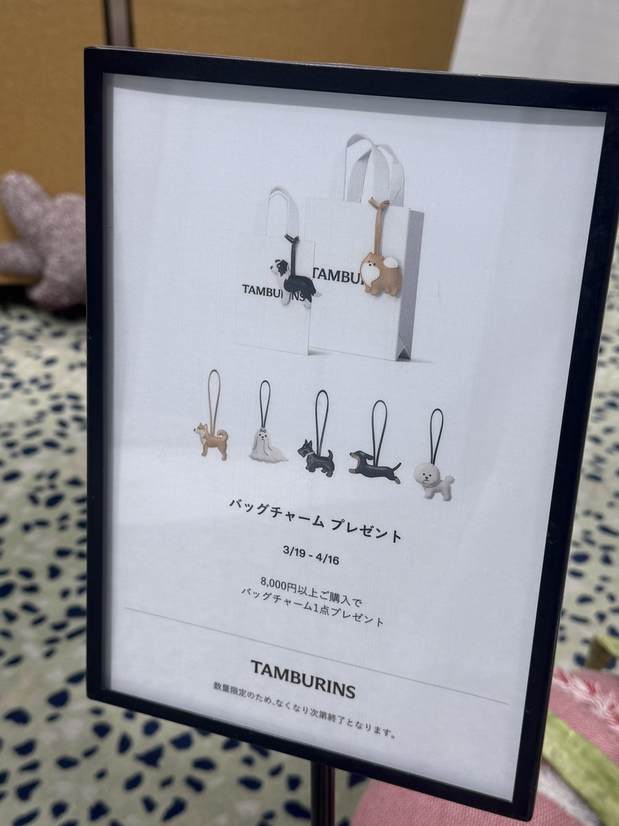 タンバリンズのイッヌチャーム、選べます！！！表参道店は選べました
