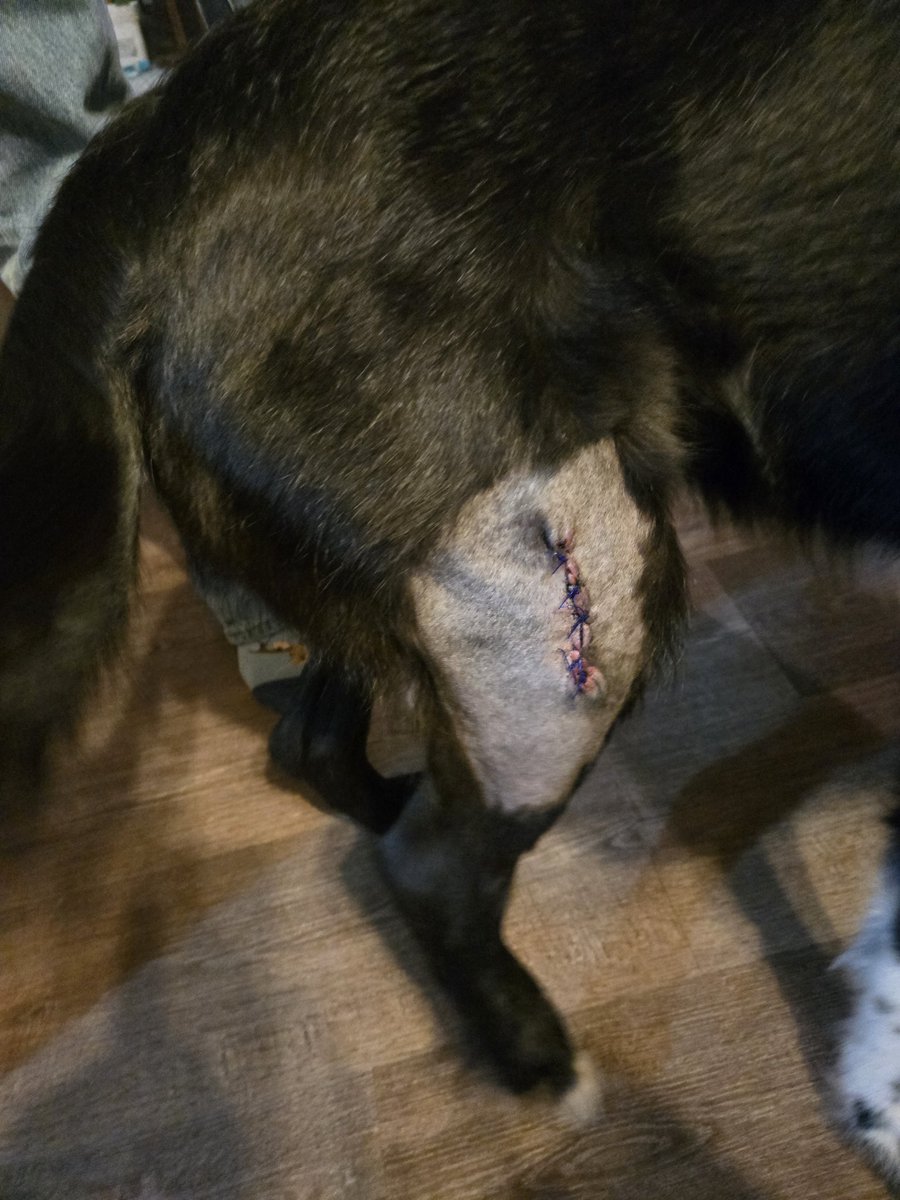 American Inmate 0086-47 tweet media