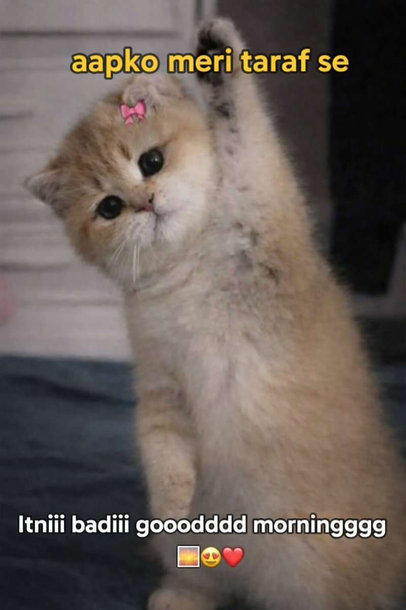 Are you ok bachaa call karu...? tweet media