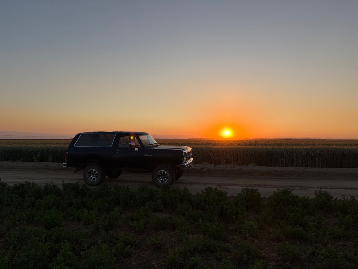 Dapper_goat tweet media