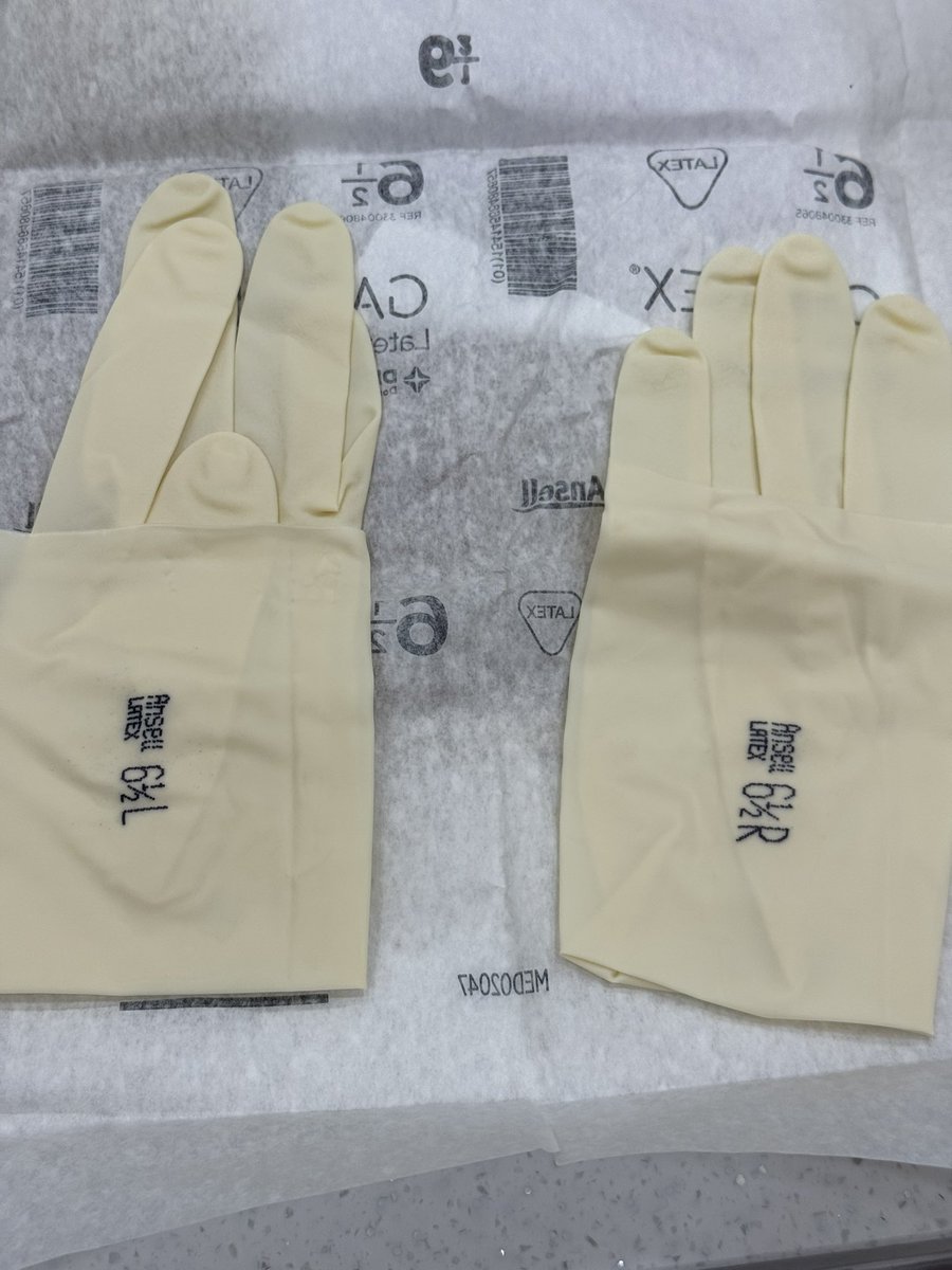 Galno 갈노🛰️ tweet media