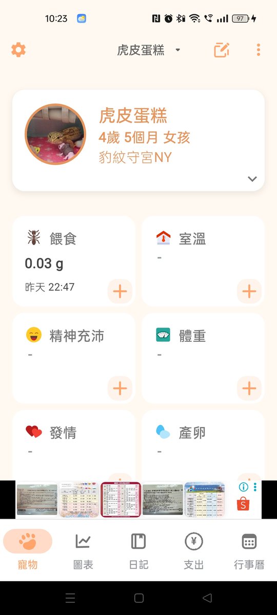 八咫鈴音 tweet media