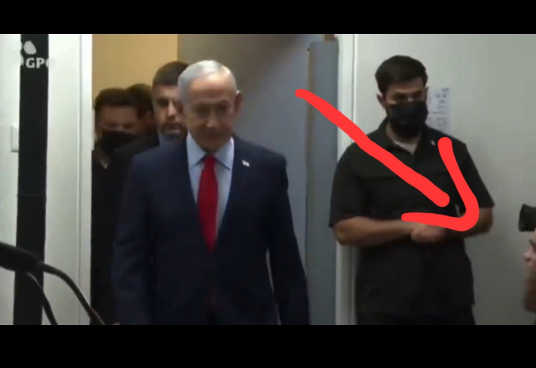 NaturalXXWoman 🇺🇲 tweet media