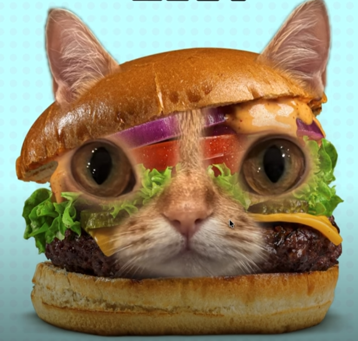 Avis sur le burger chat ??