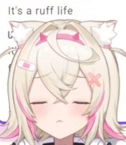 Flipsie 🎋🦊 tweet media