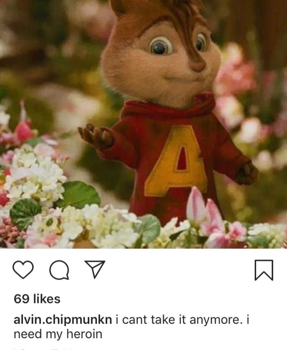 кочівник 🇺🇦🦊 tweet media