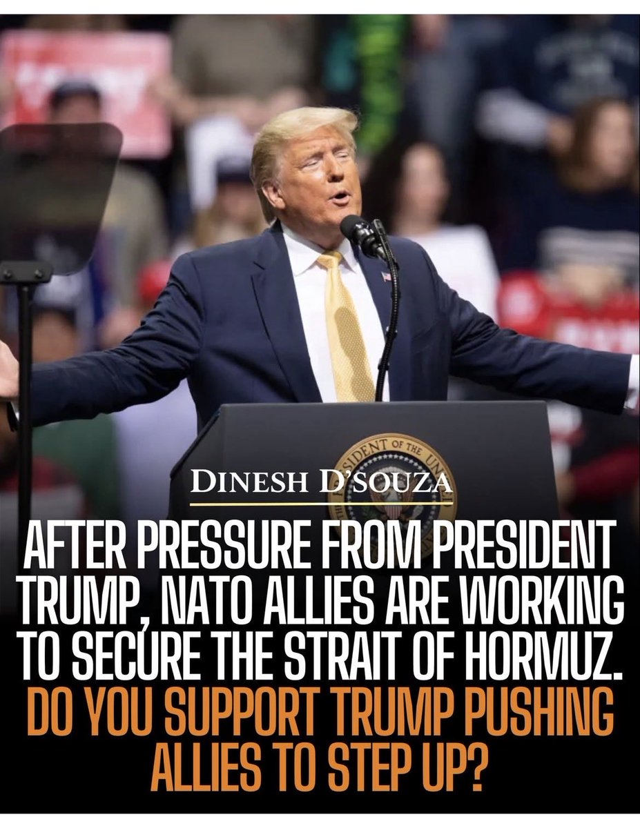 Maggie Basil tweet media