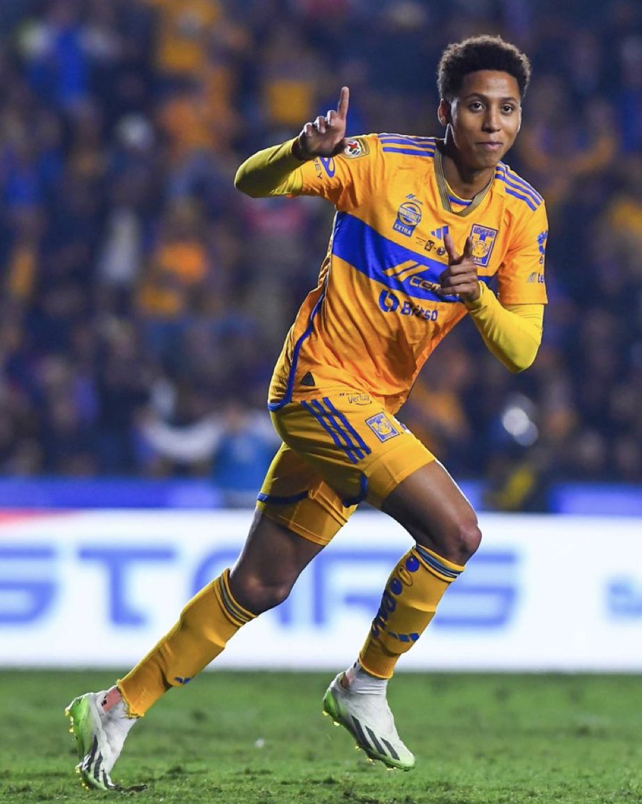 Xavier Sol la Lande tweet media