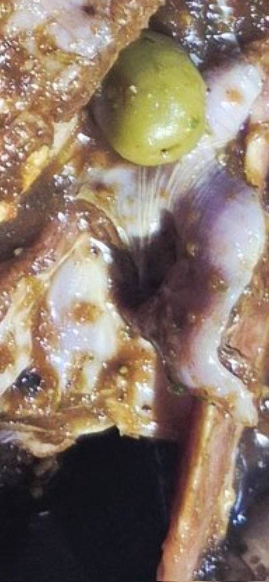 Marcelo Almonte tweet media