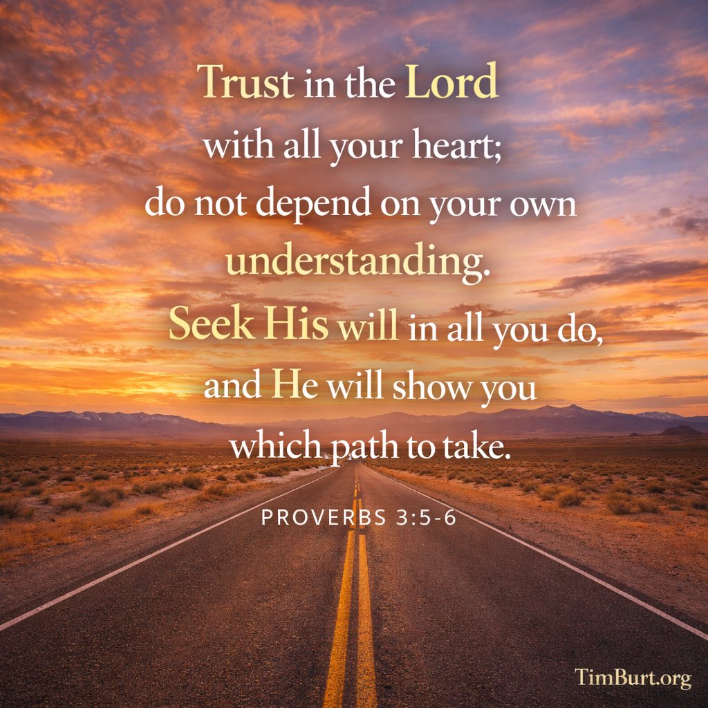 Timothy Burt tweet media