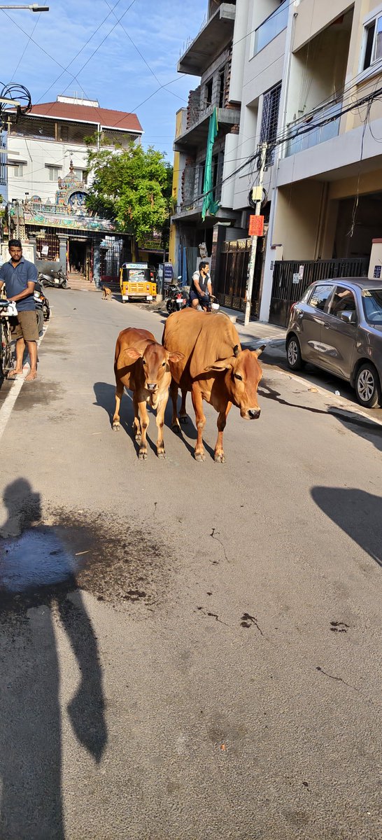 Visweswaran.s tweet media