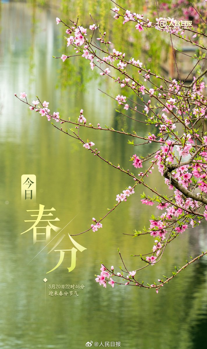 人民日報  People's Daily tweet media