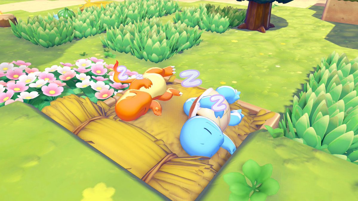 きき🍛🍺 tweet media