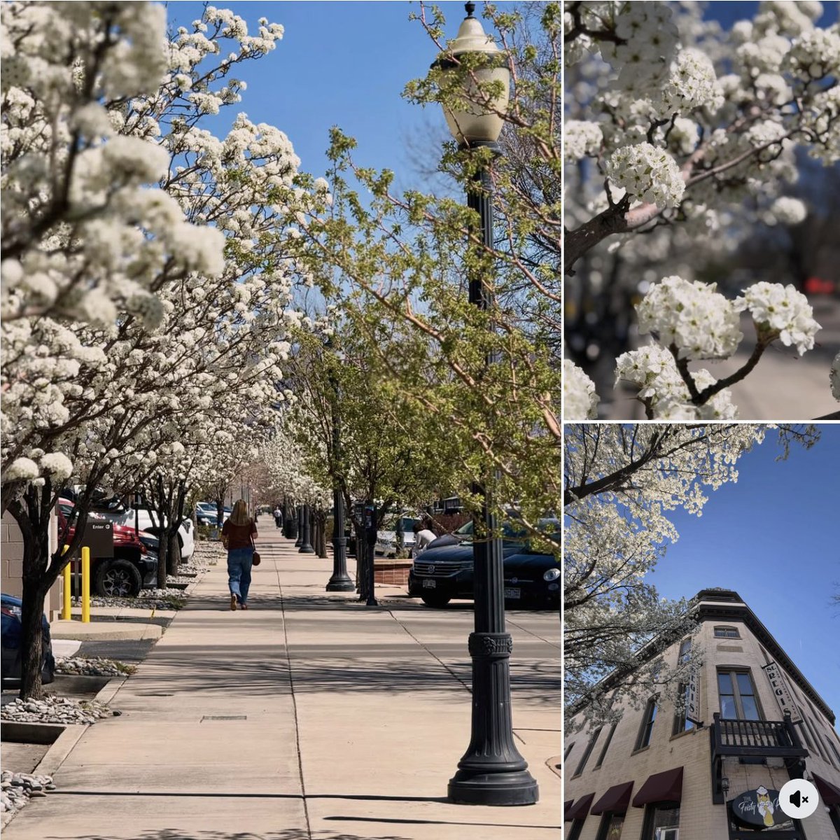 Visit Grand Junction tweet media