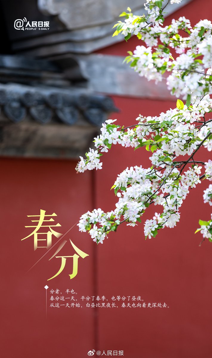 人民日報  People's Daily tweet media