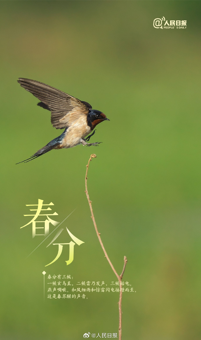 人民日報  People's Daily tweet media