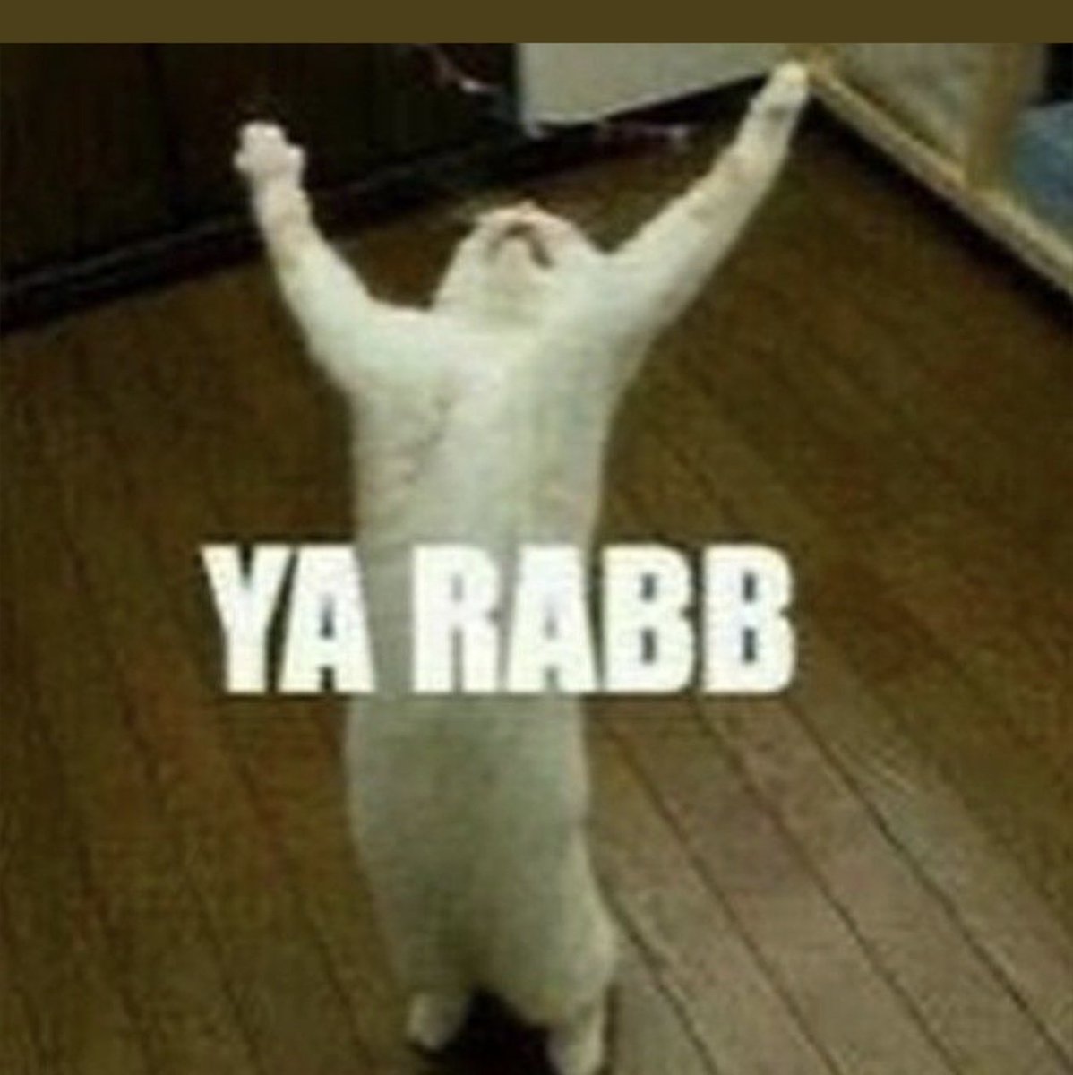 Sheevum Goel (Proud Hindu) tweet media